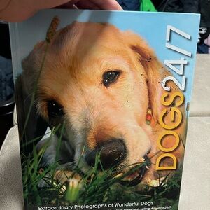 Dogs 24/7 Book with Golden Cover